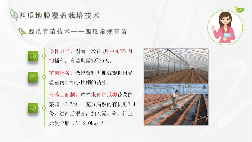 7.3西瓜栽培技术 课件(共15张PPT)-《蔬菜生产技术》同步教学（湖南科技出版社）