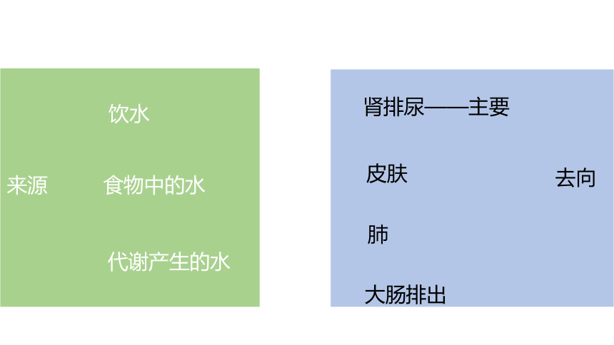 2021-2022学年高二上学期生物苏教版（2019）选择性必修1  2.3水盐平衡的调节课件(共21张PPT)