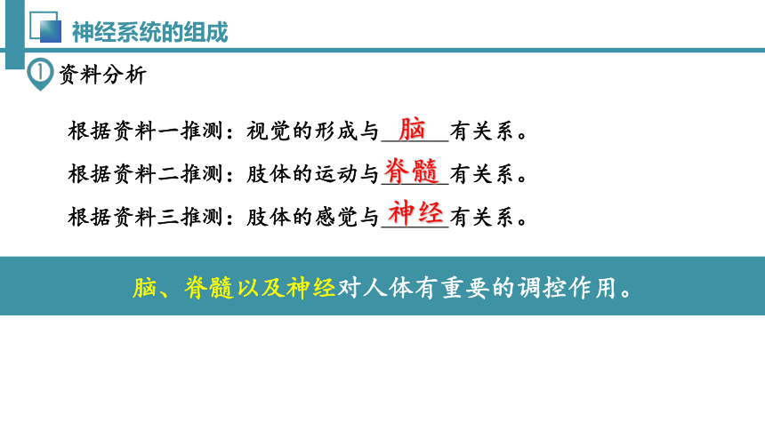 4.6.2 神经系统的组成-七年级生物下册同步精品课堂（人教版）(共32张PPT)