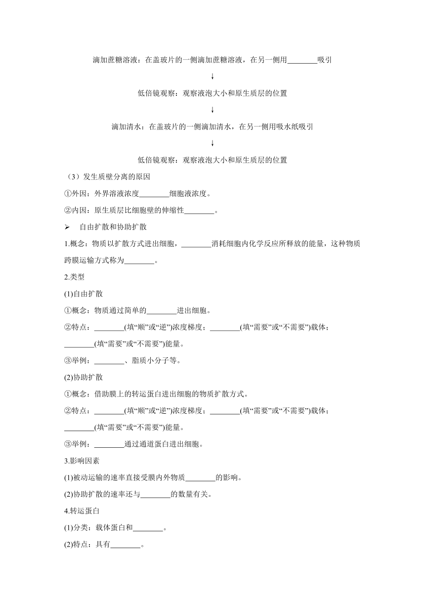 4.1被动运输 导学案——2022-2023学年高一生物人教版（2019）必修一