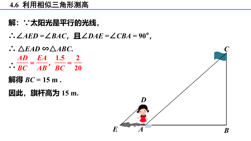 4.6 利用相似三角形测高 课件(共22张PPT)