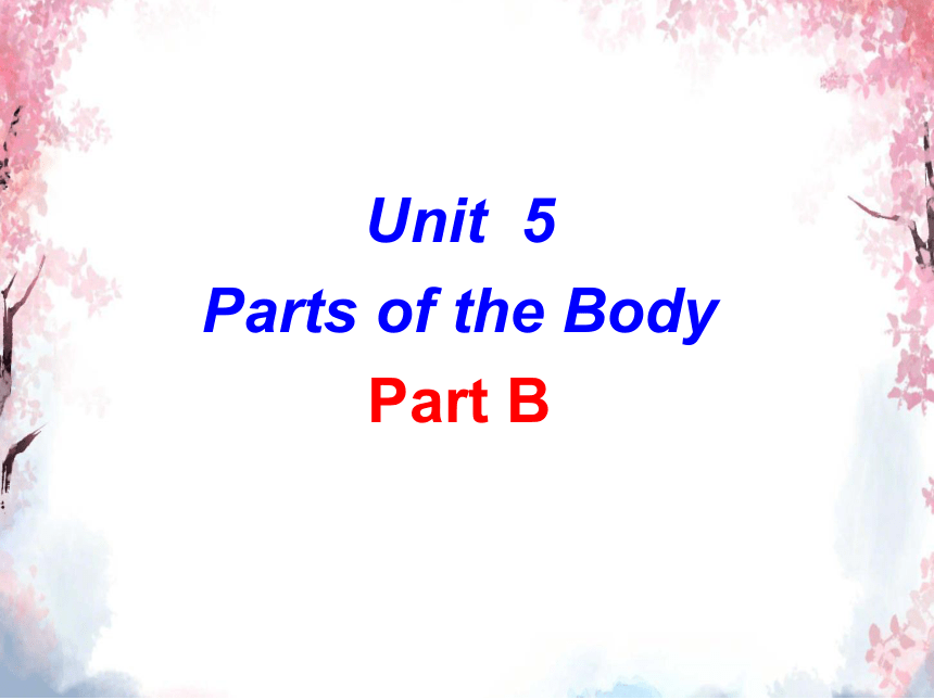 三年级下册英语课件-Unit 5 Parts of the Body Part B  闽教版 ( 共12张PPT )