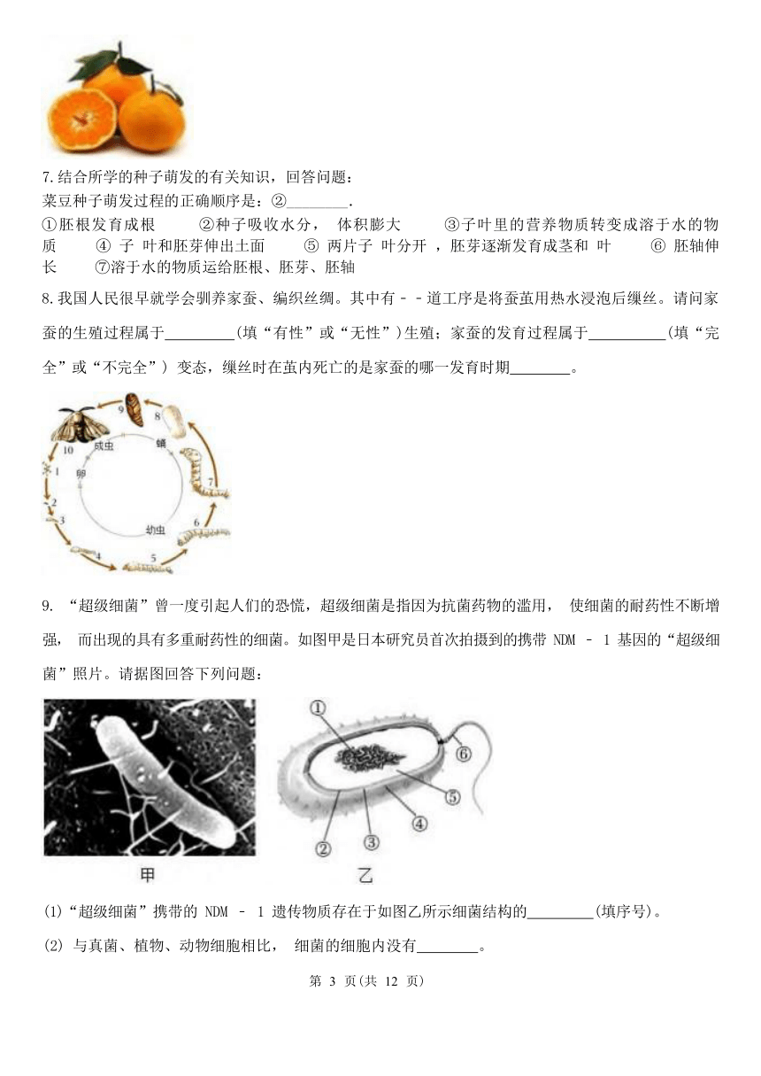 填空题1-期中分题型复习（第1章 代代相传的生命 含解析）