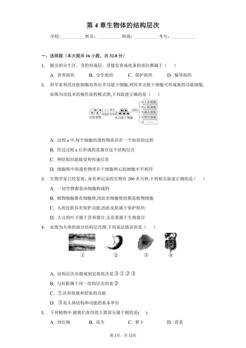 第4章 生物体的结构层次--2022-2023学年北师大版生物七年级上册单元强化练习（word版 含解析）