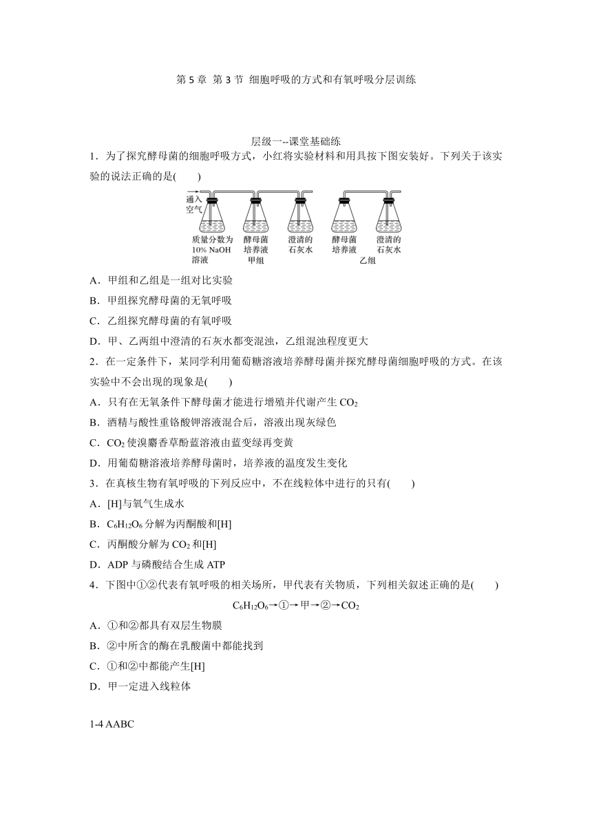 2020-2021学年高一生物人教版必修一------5.3细胞呼吸的方式和有氧呼吸分层训练（word版含答案）