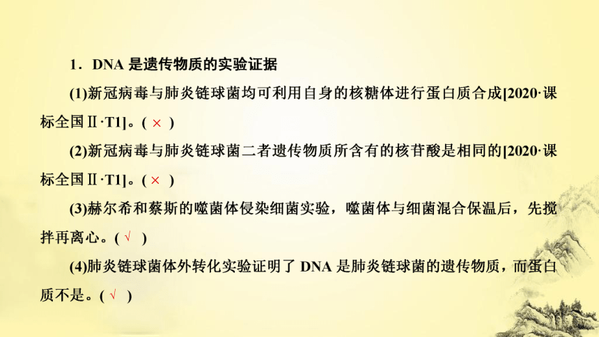 新人教生物二轮复习课件7 遗传的分子基础(课件共72张PPT)