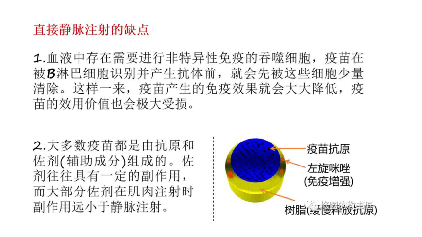 2021届高考冲刺专题复习疫苗专题课件（33张PPT）