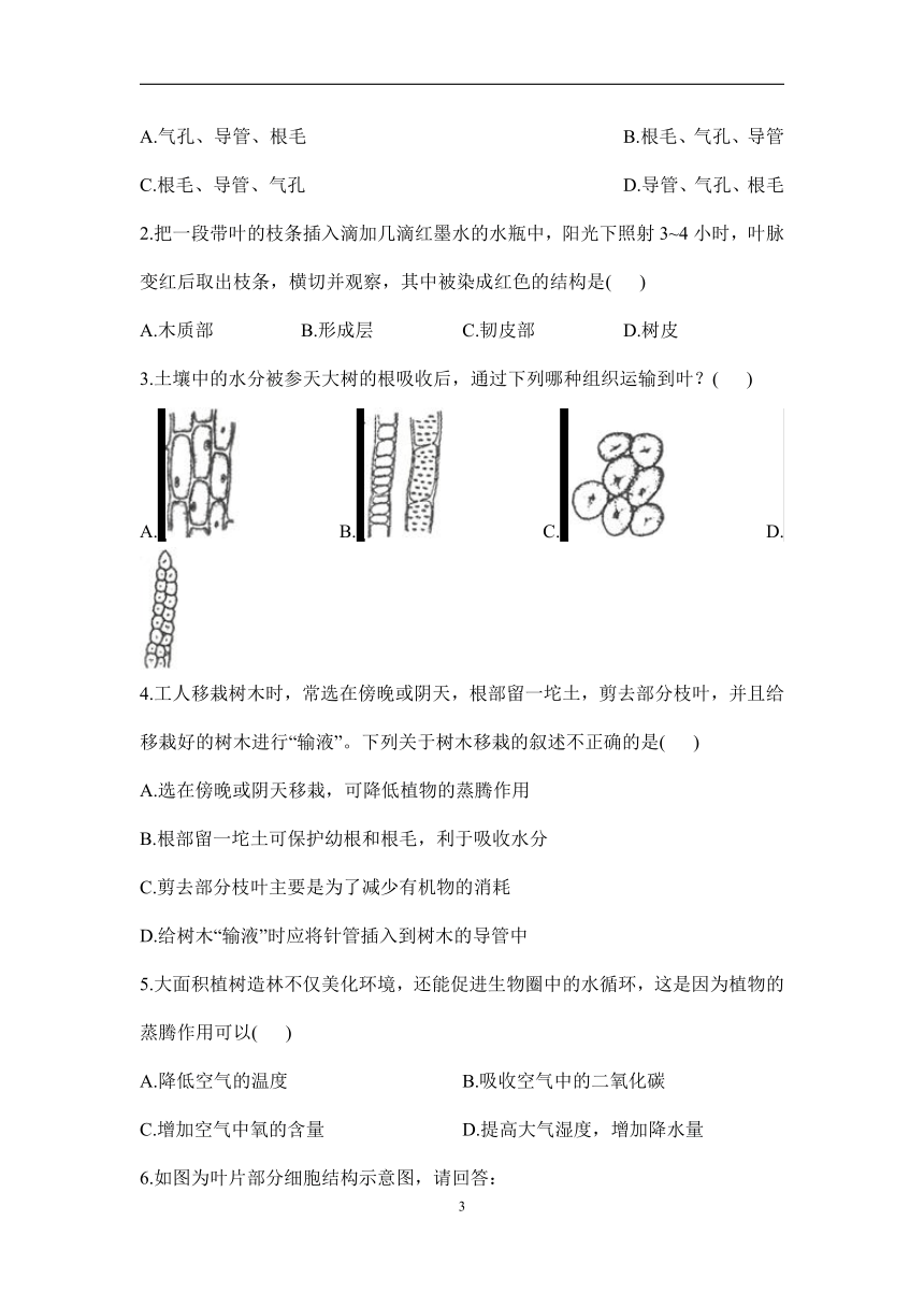 3.3绿色植物与生物圈的水循环（第2课时）学案（答案不全）初中生物人教版七年级上册