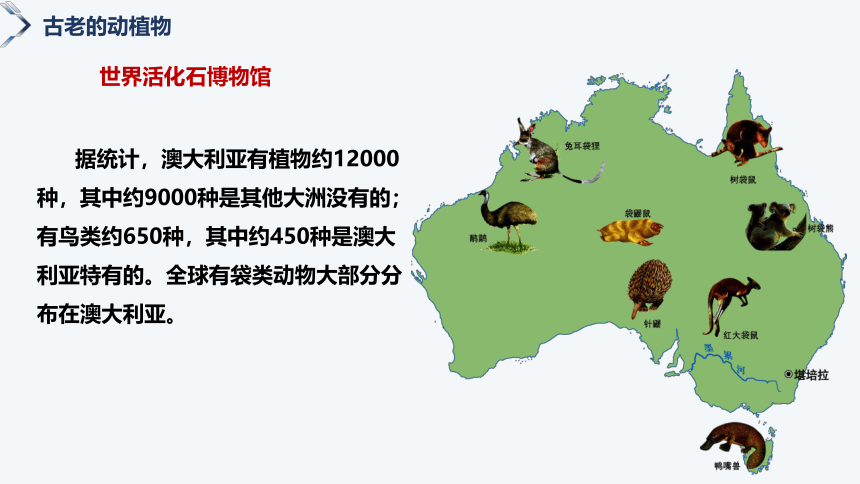 8.7澳大利亚（第2课时）2022-2023学年七年级地理下册同步精品课件（湘教版）(共30张PPT)