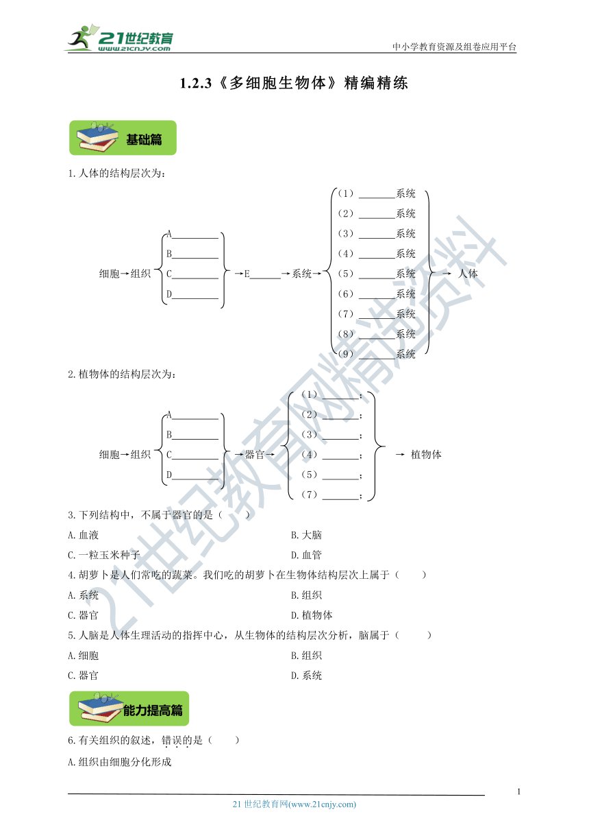 1.2.3《多细胞生物体》同步精编精练