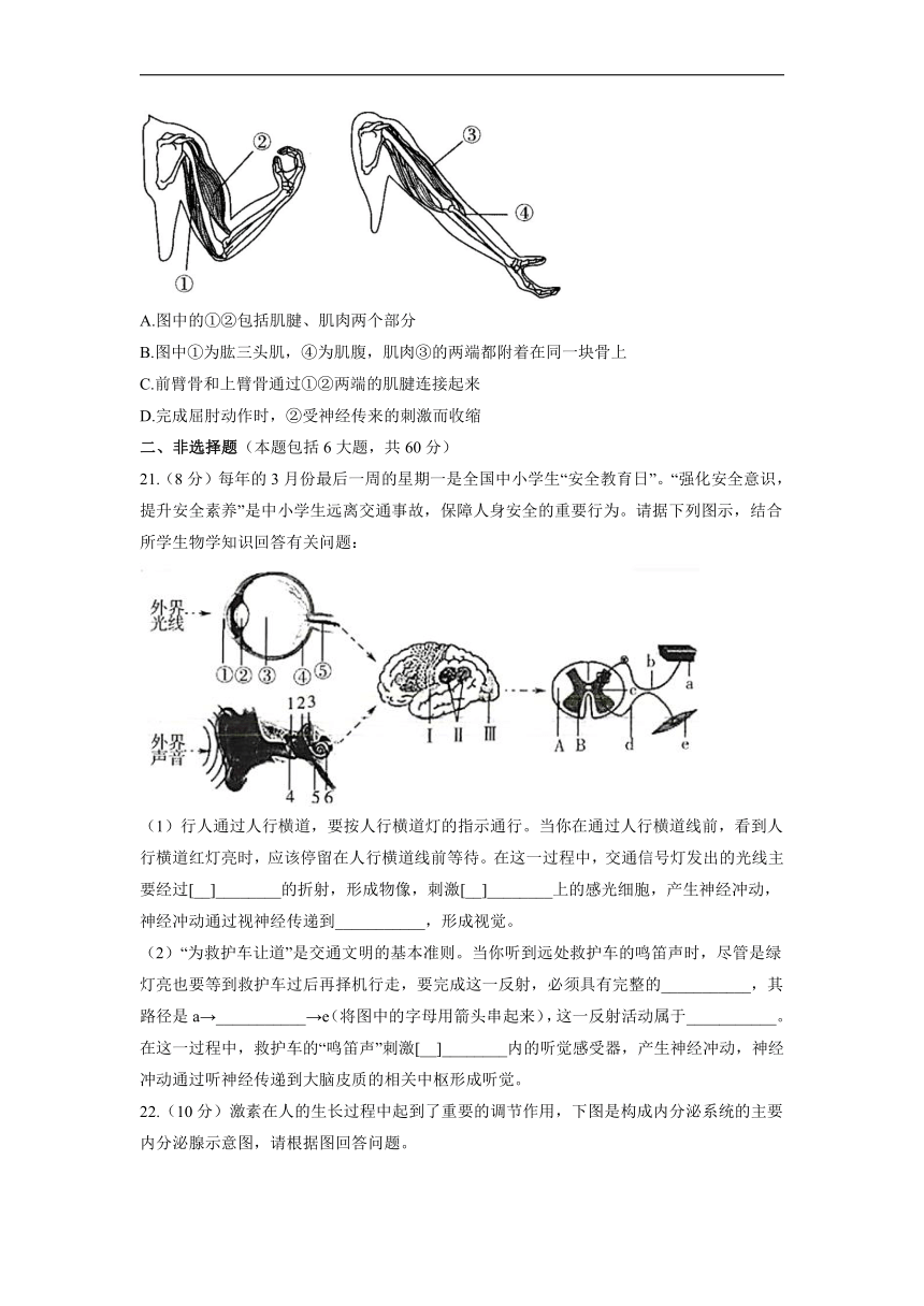 第6单元生命活动的调节和生态系统的稳定（第十六、十七章）能力提升单元测试（word版含解析）2021-2022学年苏科版八年级上册生物