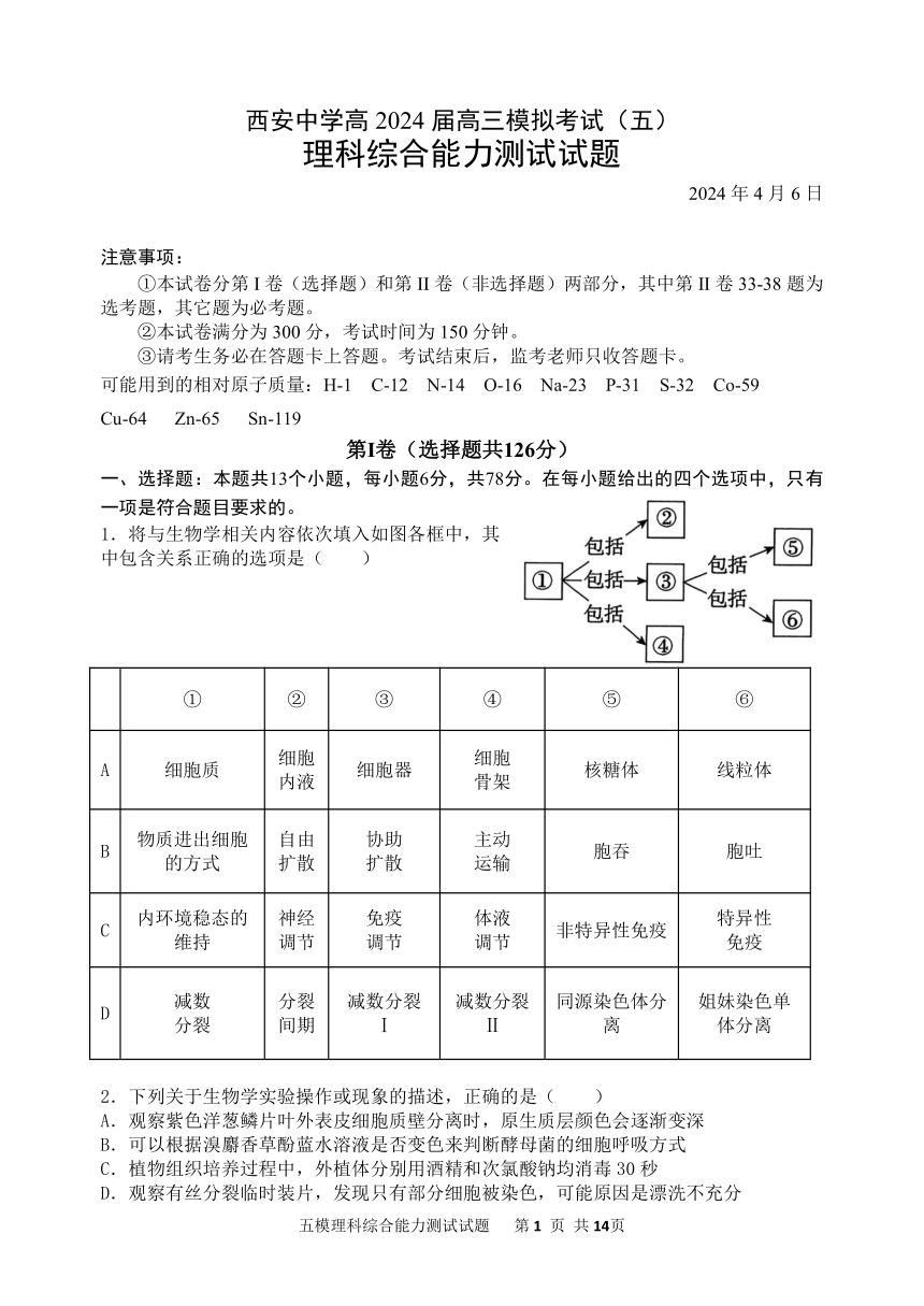 陕西省西安中学2024届高三下学期模拟考试（五）理综 （PDF版含答案）