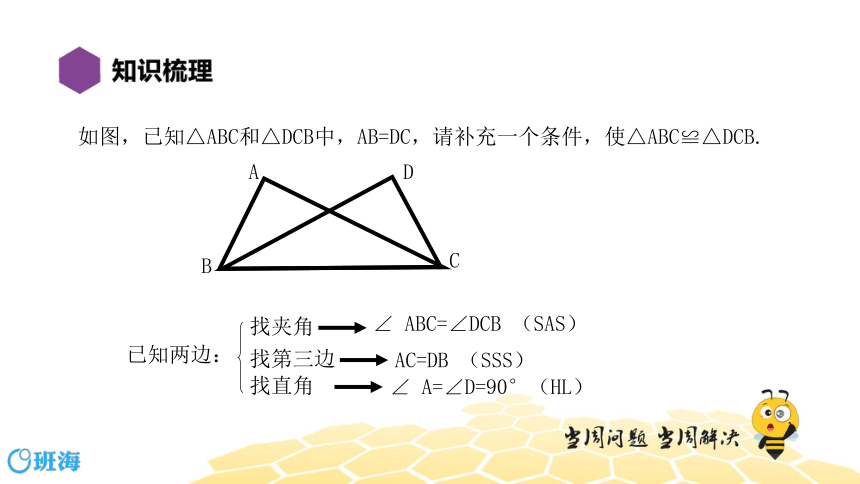 【章复习课】七年级38.6三角形全等的条件 课件