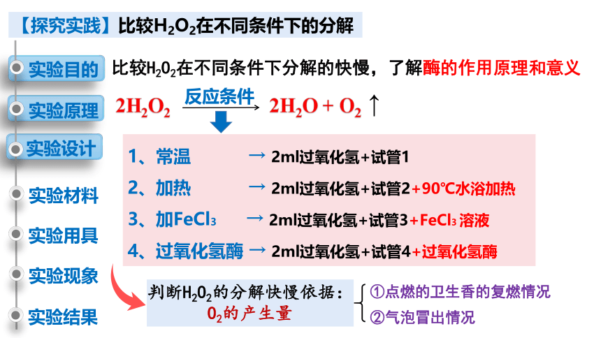 5.1降低化学反应活化能的酶第1课时课件（27张）2022-2023学年高一上学期生物人教版必修1