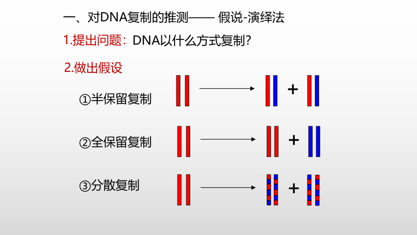 生物人教版（2019）必修2 3.3DNA的复制课件（共36张PPT）
