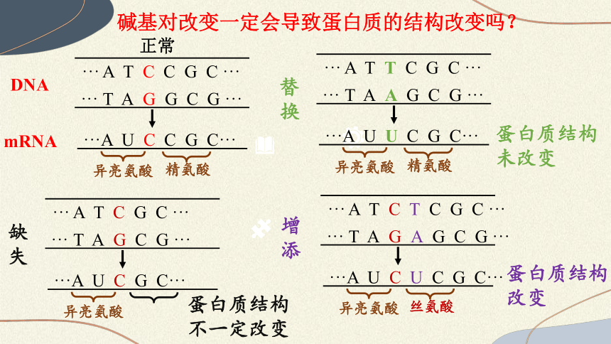 5.1基因突变和基因重组课件(共33张PPT)2022-2023学年高一下学期生物人教版必修2