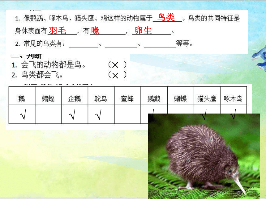 青岛版四年级上册科学 4 哺乳动物 课件（16张ppt）