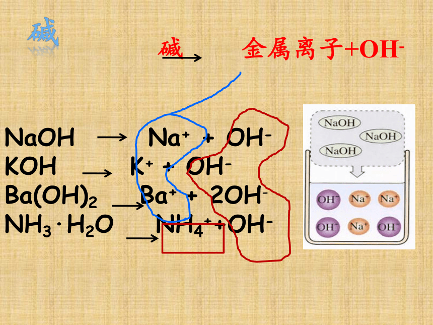 鲁教版化学九年级下册 第七单元 第四节 酸碱中和反应课件(共21张PPT)