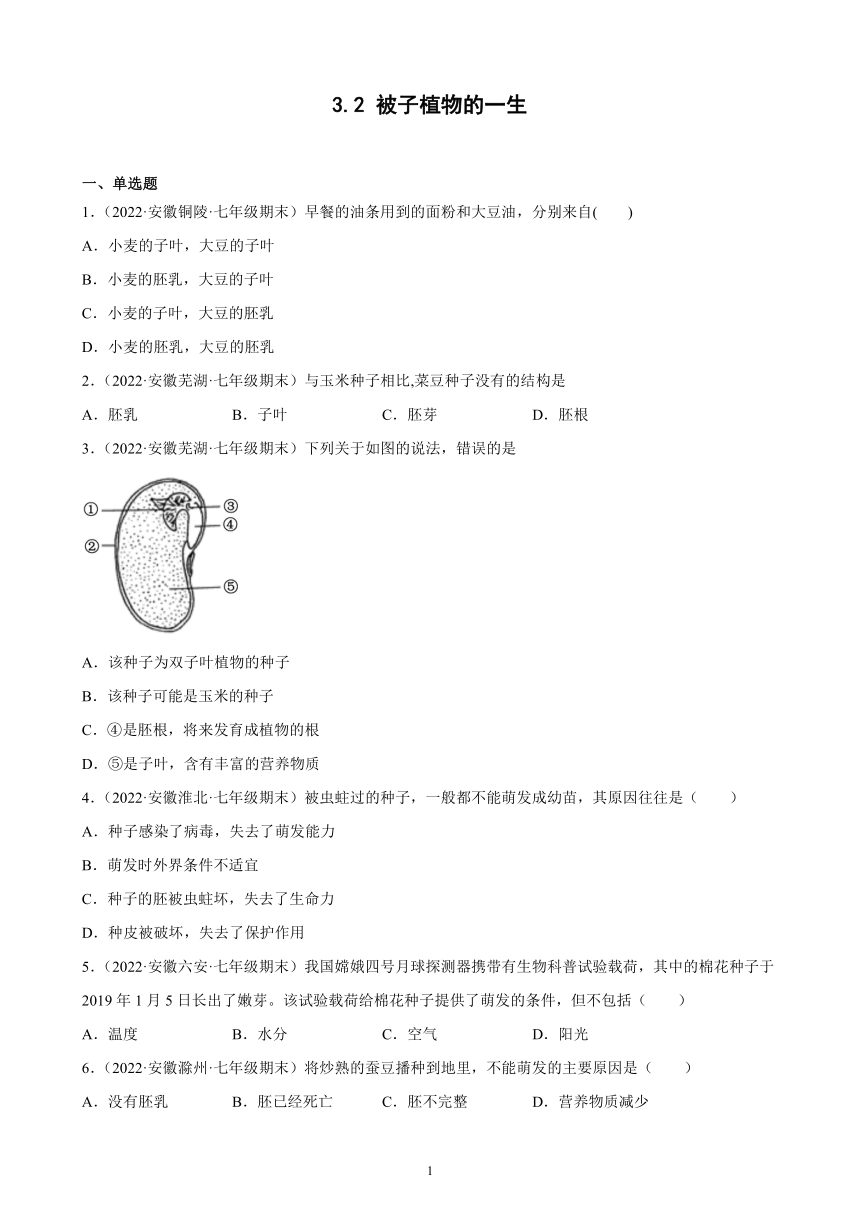 2021-2022学年安徽省各地人教版生物七年级上册 3.2 被子植物的一生 期末试题选编 （含答案）