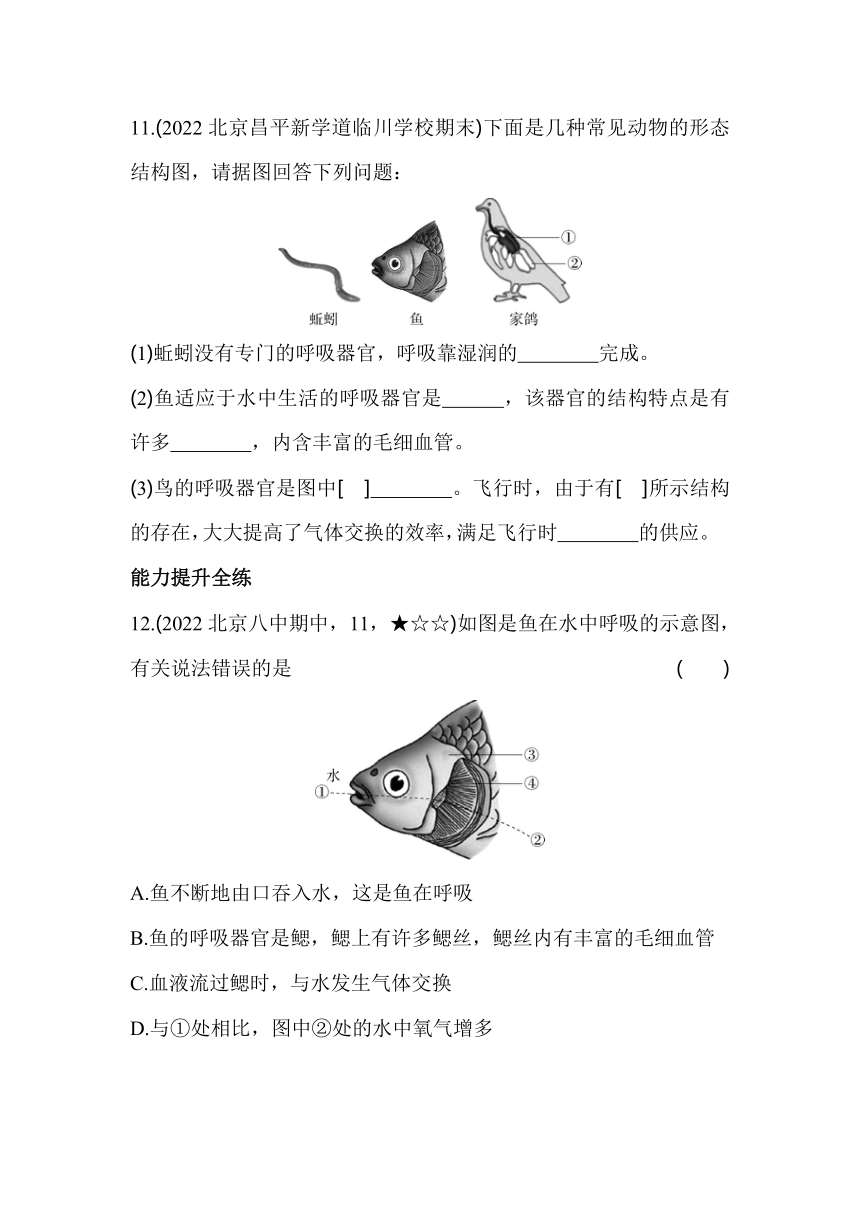 北京课改版生物七年级下册6.3 其他生物的呼吸同步练习（含解析）