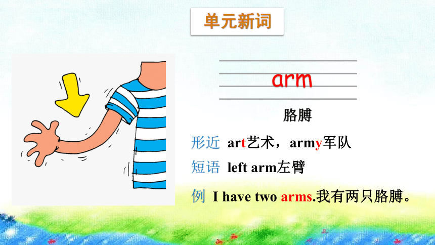 Module 6 Unit 1 Here are his hands课件（45张PPT）