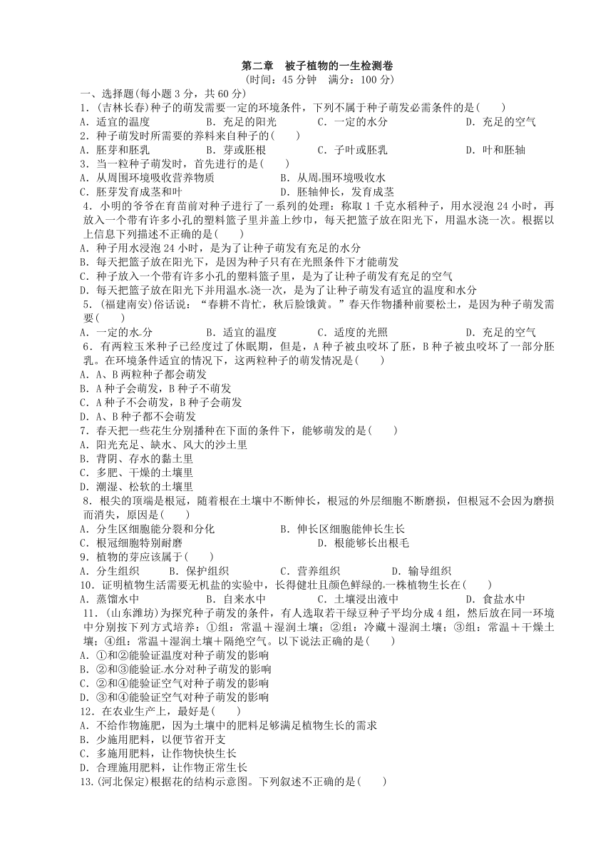 人教版七年级生物上册 3.2被子植物的一生单元测试（含解析）