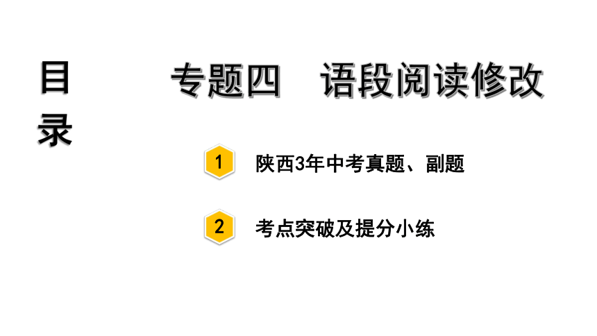 2021-2022陕西中考语文复习专题四 语段阅读修改课件 （138张ppt）