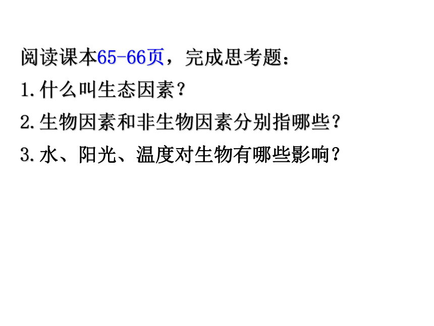 北师大版八年级下册23.1生物的生存依赖一定的环境课件(共19张PPT)