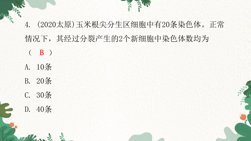 人教版生物七年级上册 第二单元生物体的结构层次章末总结第二章 细胞怎样构成生物体习题课件（共32张PPT）