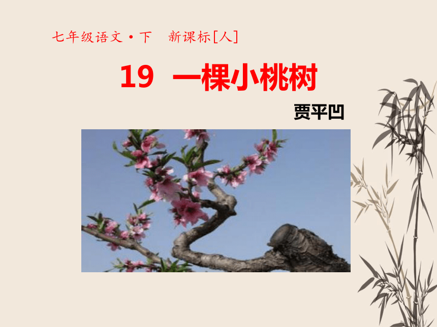 19一棵小桃树 课件（共45张PPT）