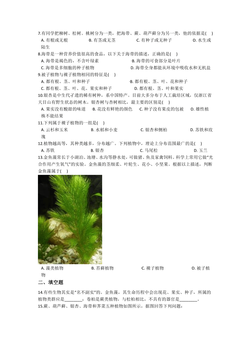 2.5常见的植物 同步练习（含解析）