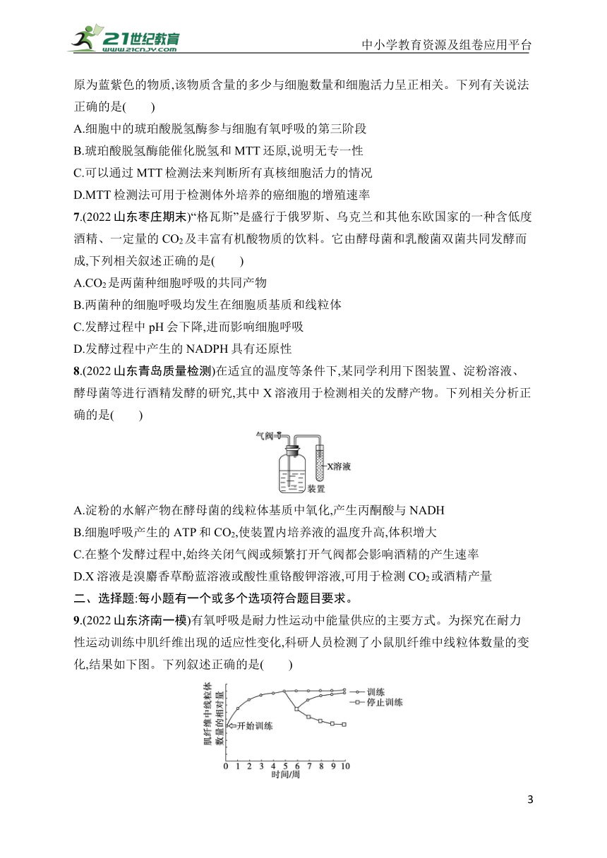 高中生物课时规范练8　ATP与细胞呼吸(学生版含答案详解)