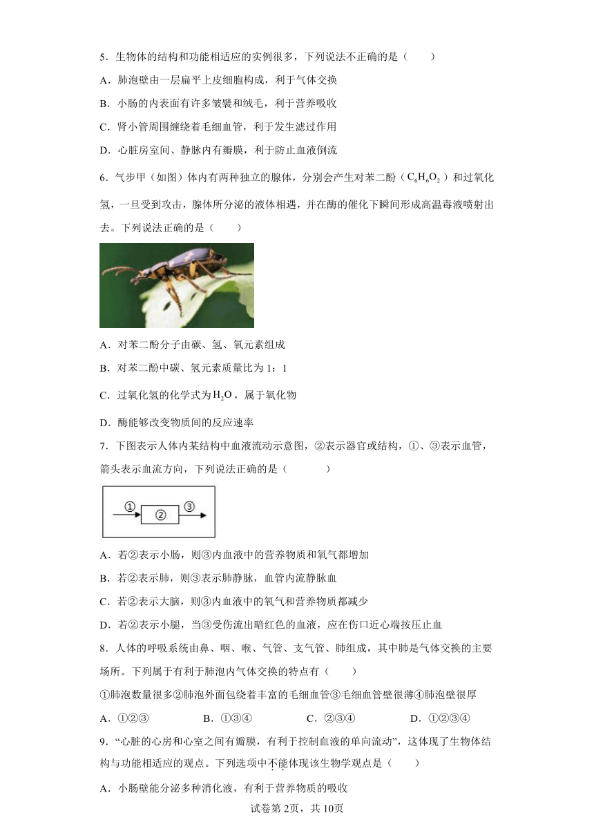 2022年浙江省中考科学专题练习：人体新陈代谢（含解析）