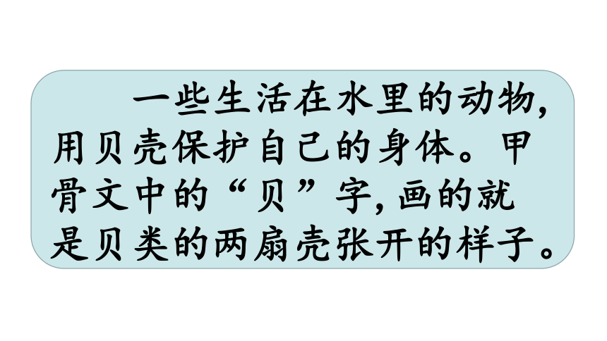 识字 3“贝”的故事     课件(共20张PPT)