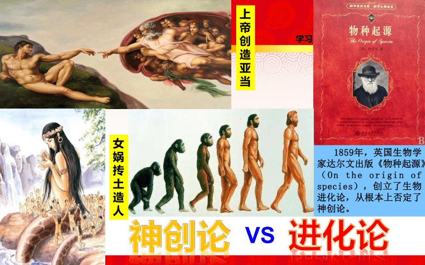 第1课 中国早期人类的代表——北京人 课件（25张PPT）