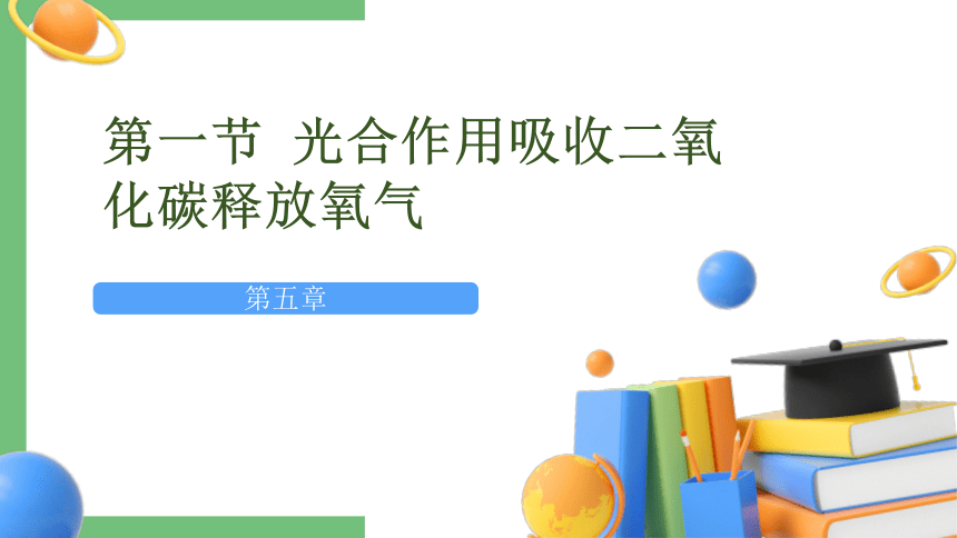 3.5.1光合作用吸收二氧化碳释放氧气 课件(共19张PPT) 人教版生物七年级上册