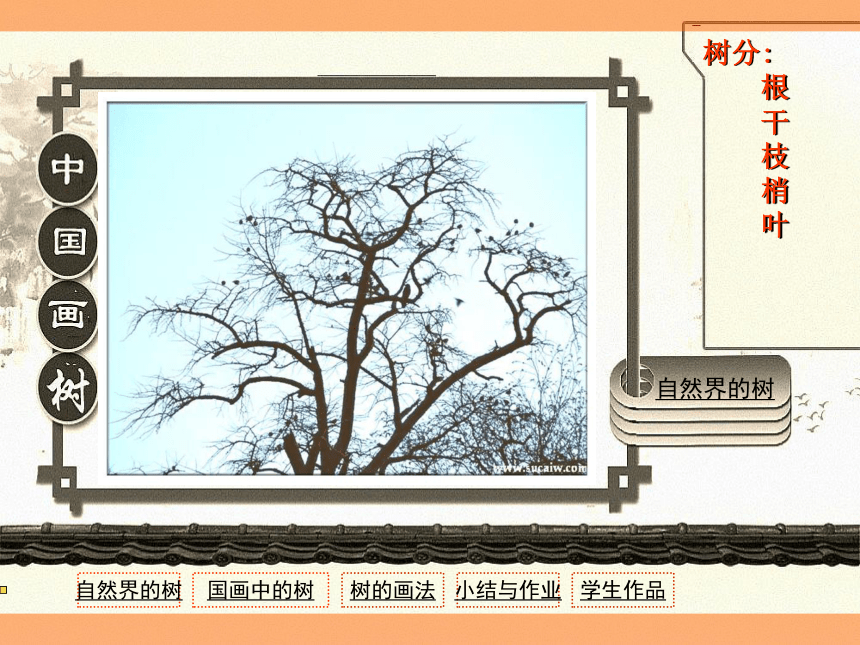 辽海版  第3课 多姿多彩的树 课件（26张PPT）
