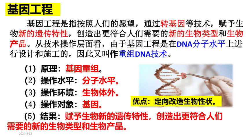 2023届高三生物一轮复习课件：第36讲 基因工程(共27张PPT)