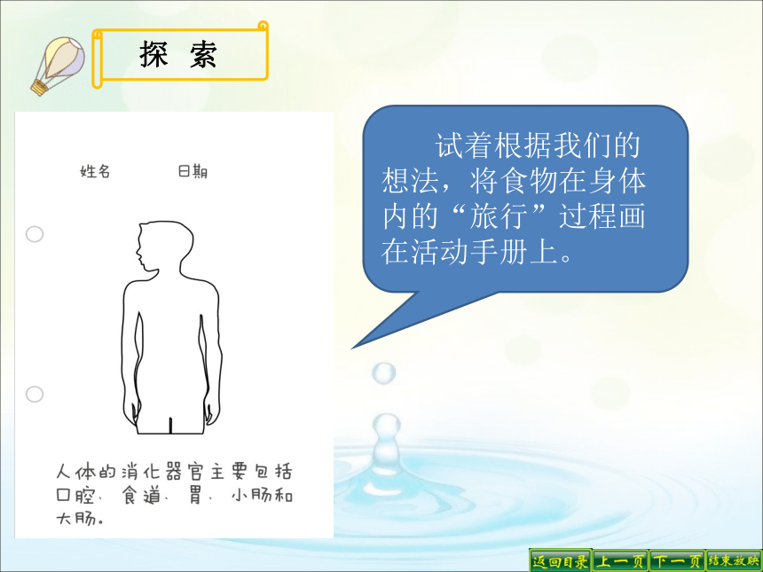 教科版（2017秋）四年级科学上册2.8.食物在身体里的旅行（课件16张ppt）