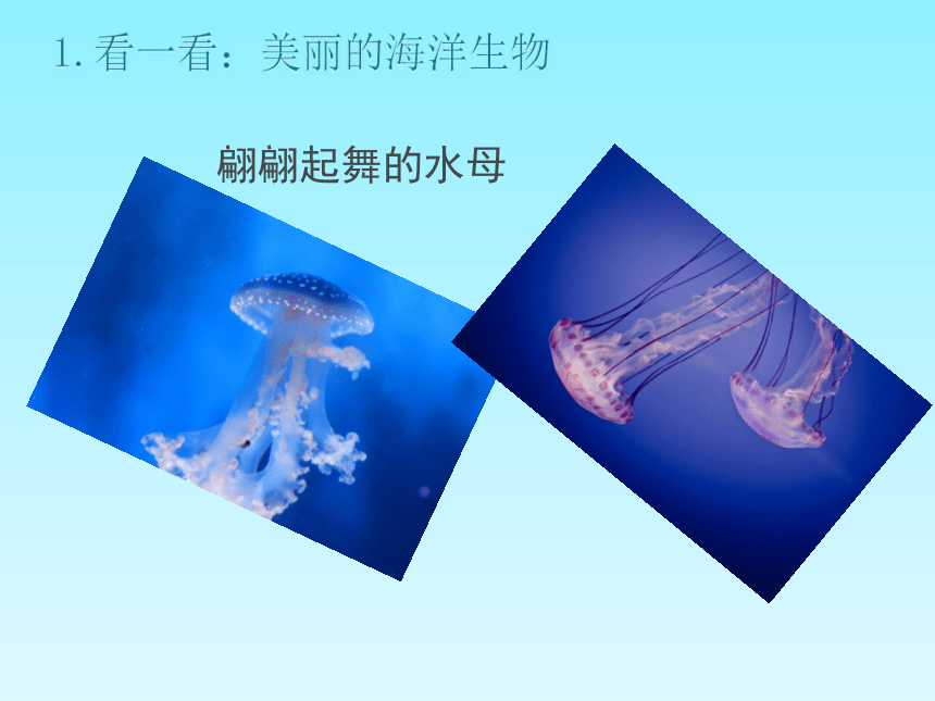辽海版一年级美术下册《浮游玩具》参考课件