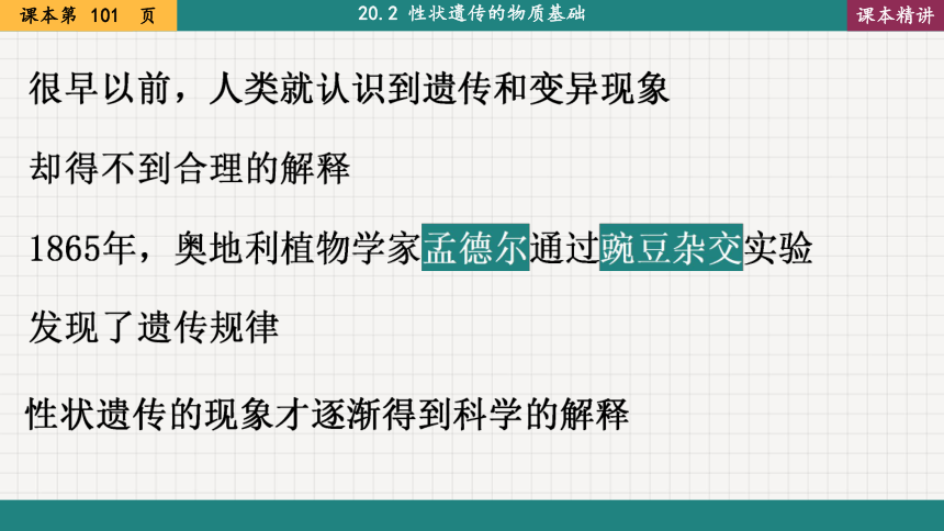 20.3 性状遗传有一定的规律性  课件  2022-2023学年北师大版八年级生物上册(共22张PPT)