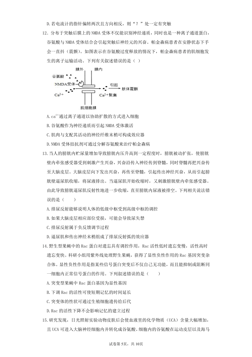 山东省德州市夏津县第一高级中学2022届高三上学期11月间周考生物试卷（PDF版含答案）