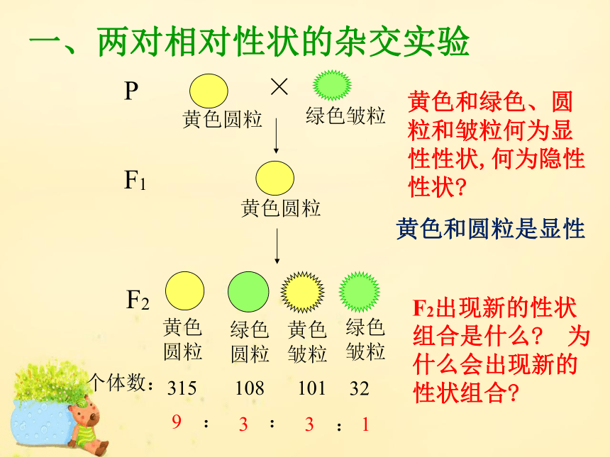 2020—2021学年高一下学期 生物人教版 必修2  1.2 孟德尔的豌豆杂交实验（二）课件（31张ppt）