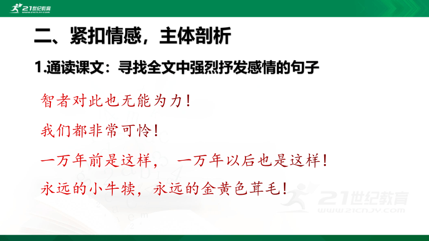 16 散文二篇 ：《永久的生命》课件（19张PPT）