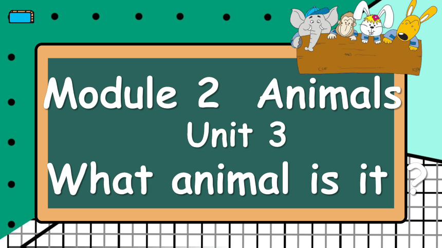 教科版（广州）英语六年级下册 Module 2 Unit  3 What animal is it？课件（共51张PPT）