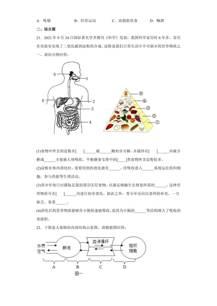 山东省滕州市鲍沟中学2021-2022学年下学期七年级期中复习生物模拟试题（word版，含答案）