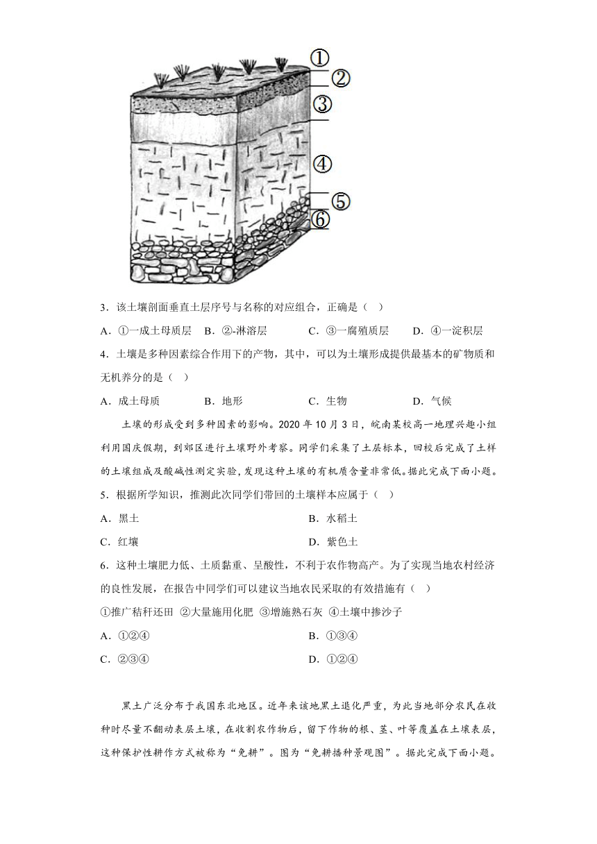 2.6 土壤的主要形成因素 强化训练（含答案）