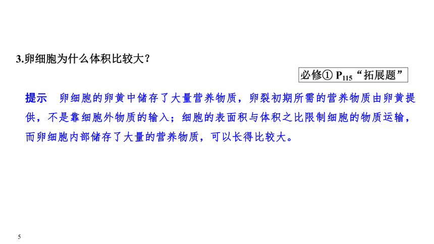 高考生物二轮复习：专题三 细胞的生命历程(共75张PPT)