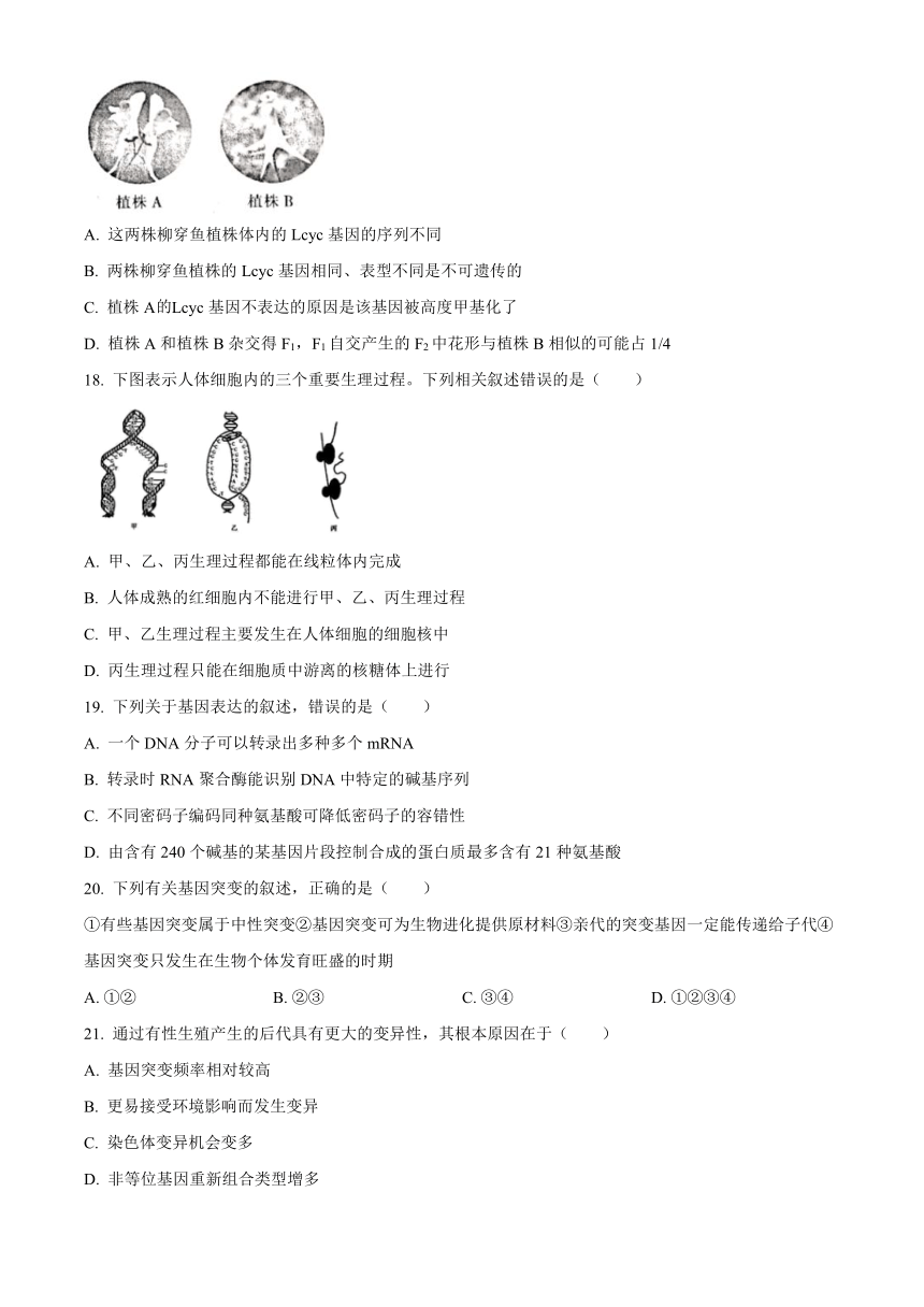 山西省2020-2021学年高一下学期5月联合考试生物试题     含答案