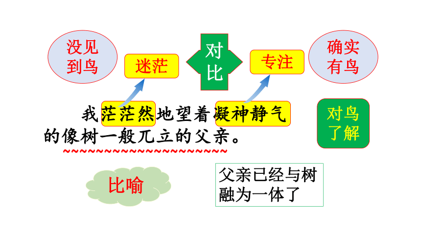 23.《父亲、树林和鸟》 第二课时课件(共50张PPT)